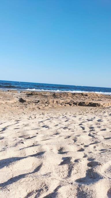 Jara Mar Lägenhet Torrevieja Exteriör bild